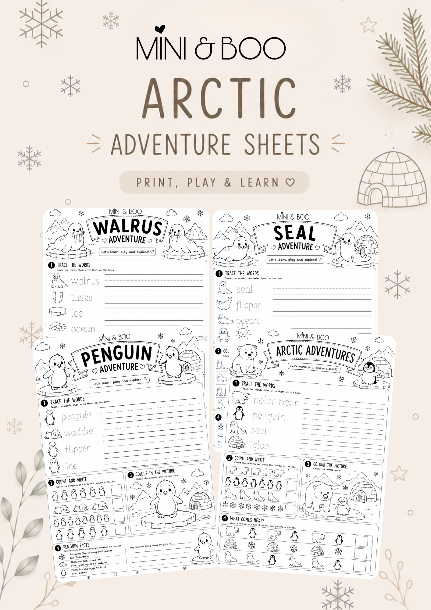 Arctic Adventure