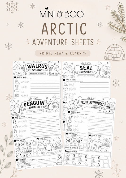 Arctic Adventure