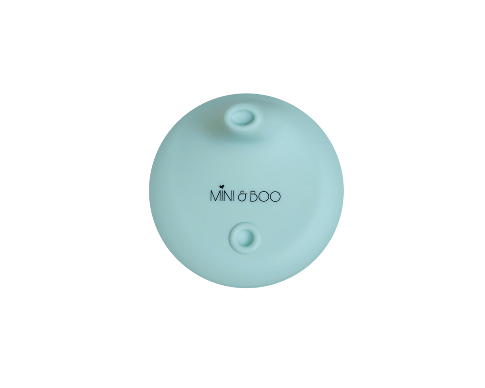 Sippy Lid